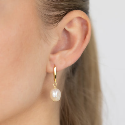9.5mm-10.5mm White Fresh Water Pearl Drop Earrings in Gold Plated Sterling Silver