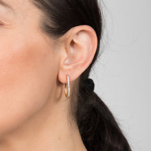 Load image into Gallery viewer, Luminesce Lab Grown 1/4 Carat Diamond Hoop Earring In Gold Plated Silver
