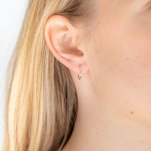 Sterling Silver 10mm Faceted Sleeper Earrings