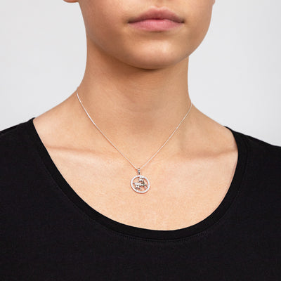 Sterling Silver Cubic Zirconia Capricorn Horoscope Round 19mm x 26mm Pendant