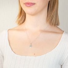 Load image into Gallery viewer, Sterling Silver Rhodium Plated Round Zodiac Tarus Pendant