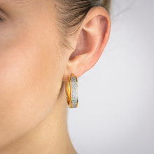Load image into Gallery viewer, Sterling Silver Gold Plated Glitter Silver Enamel Oval Hoop Earrings