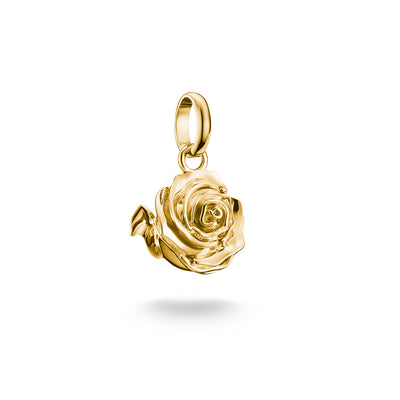 Thomas Sabo CC Connect Yellow Gold-Plated Rose