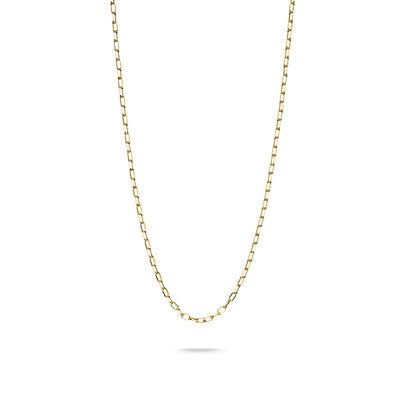 Thomas Sabo CC Connect Yellow Gold-Plated Cable Chain Necklace