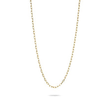 Load image into Gallery viewer, Thomas Sabo CC Connect Yellow Gold-Plated Cable Chain Necklace