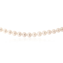 Load image into Gallery viewer, White Freshwater Strand White Pearl Necklace