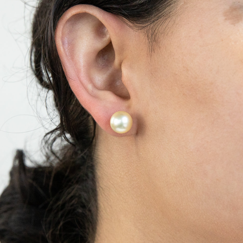 Sterling Silver Golden South Sea approx 9-10mm Pearl Studs