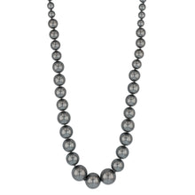 Load image into Gallery viewer, Black Mother of Pearl Graduated Necklace 48cm with Sterling Silver Clasp