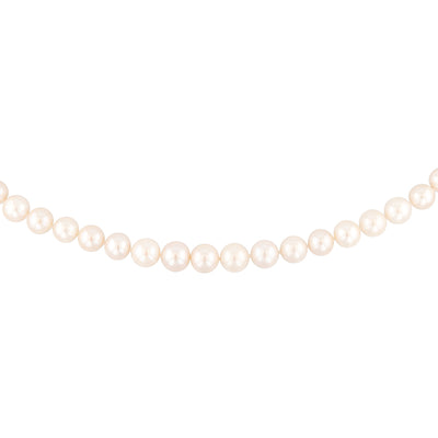 Freshwater Pearl Necklace 40cm with Sterling Silver Clasp